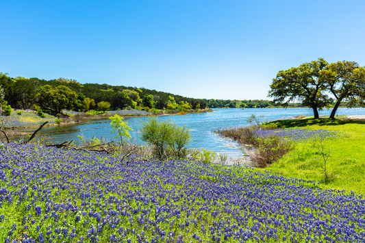 Exploring the Best Places to See Texas Bluebonnets this Spring
