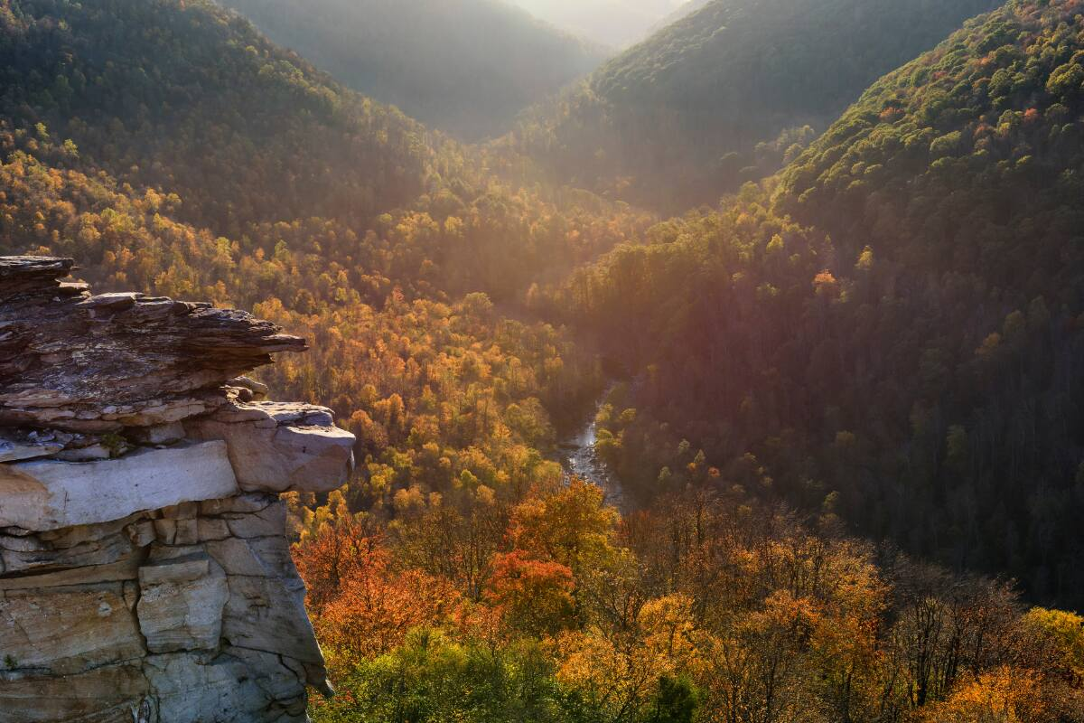 View of a canyon featuring fall tree colors of red, gold, and green.