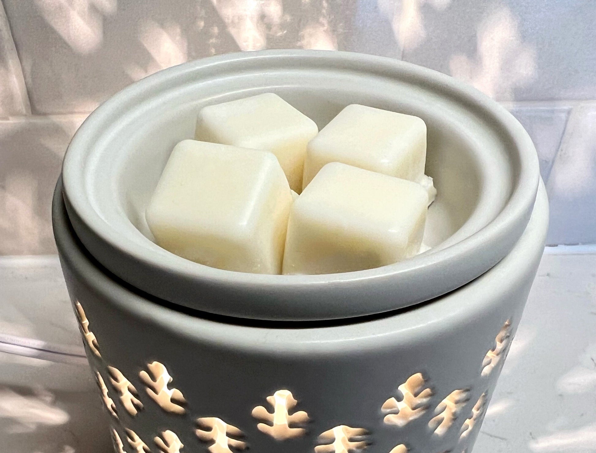 100% Soy Wax Melts | Choose Your Scent | Made in Texas | Holiday, Woodsy, Earthy, Floral Scents | Texas Gifts | Holiday Gifts | Unique Gifts